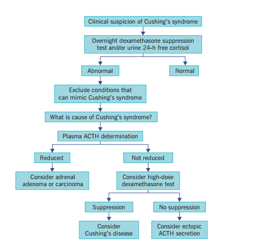 Diagnostic Algorithm