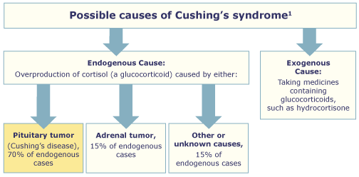 Cushing's Syndrome