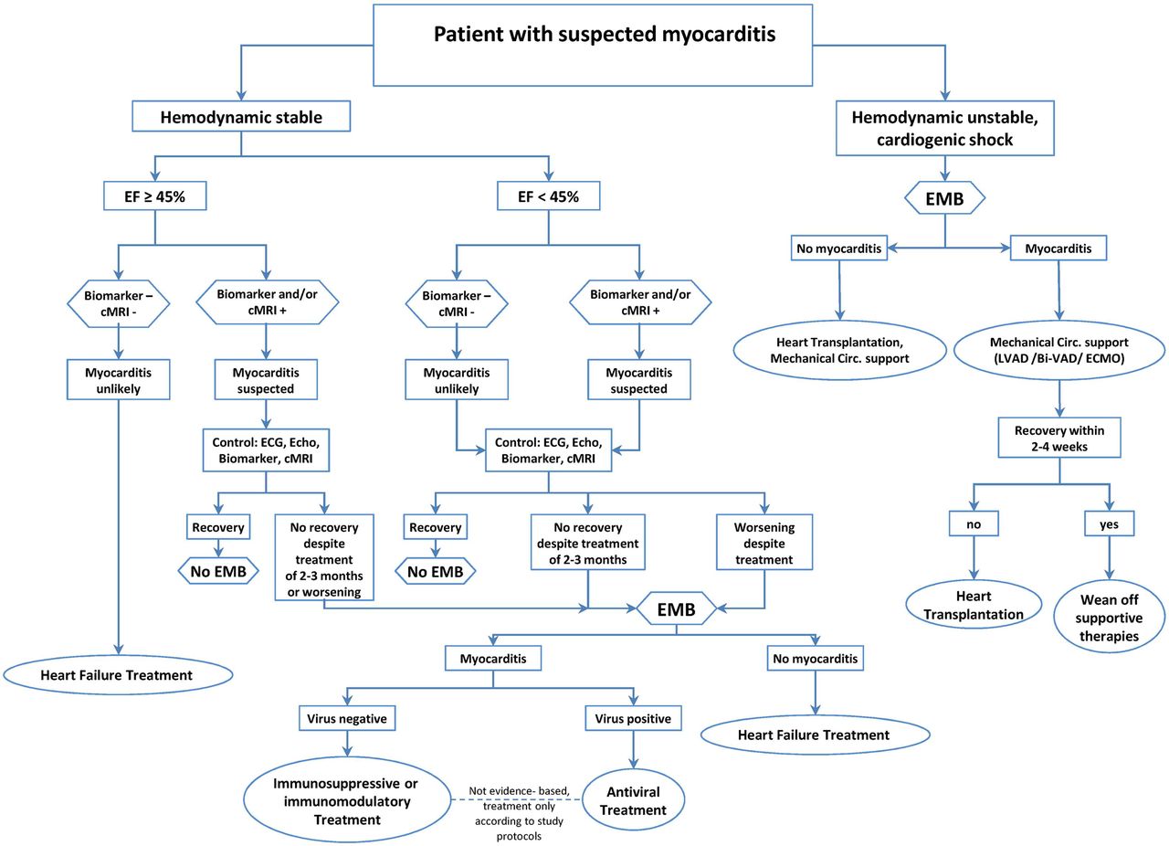 Myocarditis Algorithm