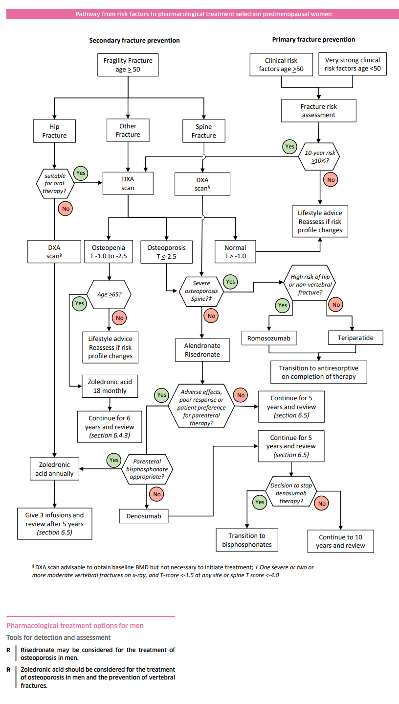 SIGN Guidance for Osteoporosis