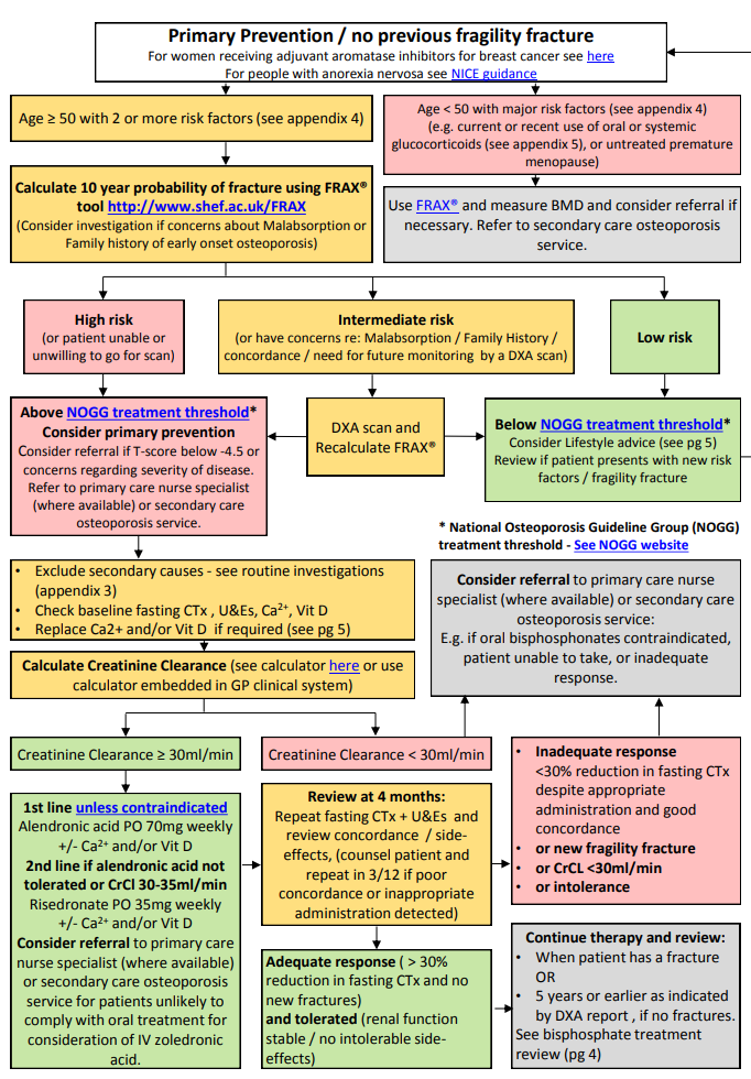 Primary Prevention of Osteoporosis