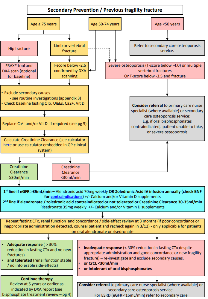 Secondary Prevention of Osteoporosis