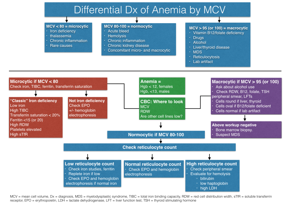 Anaemia classification diagram