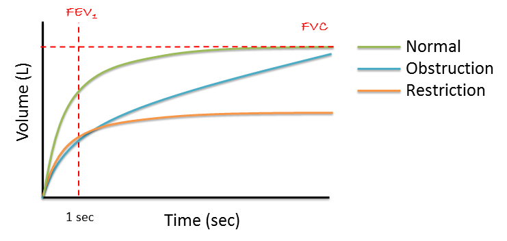 Lung Function