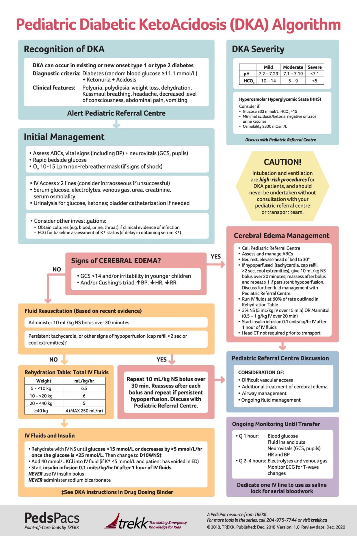 Paediatric DKA pathway