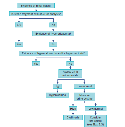 Renal stones diagram