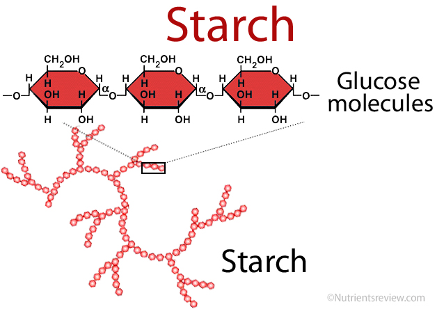 Starch